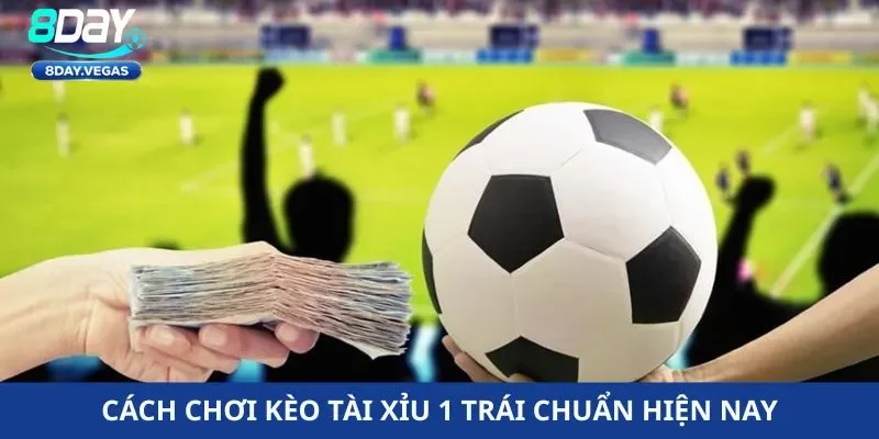 Cách chơi kèo tài xỉu 1 trái chuẩn hiện nay