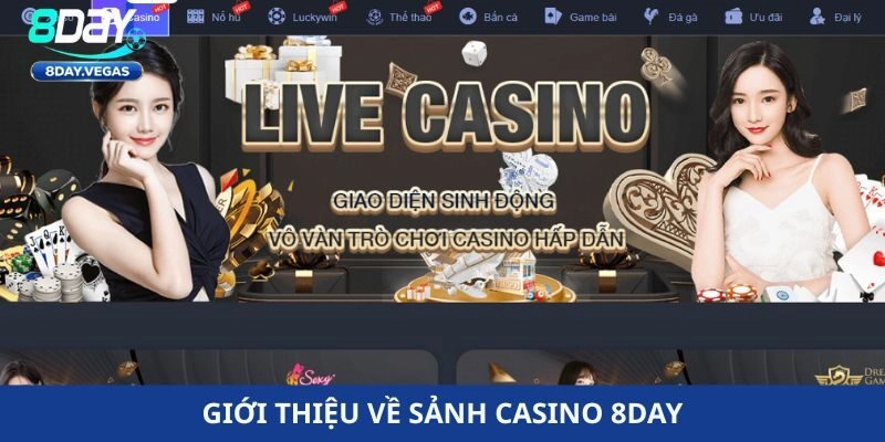 casino 8day casino 8day
