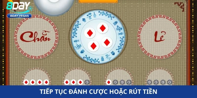 casino 8day casino 8day