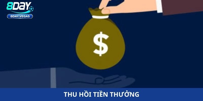 Điều khoản & điều kiện 8Day 